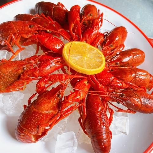 有沒有更多種類的龍蝦圖片？，全球多種大龍蝦品種介紹