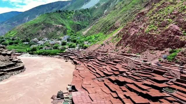 芒康水族店，芒康水族店有哪些特色產(chǎn)品 芒康水族店，芒康水族店有哪些特色產(chǎn)品 全國水族館企業(yè)名錄 第1張