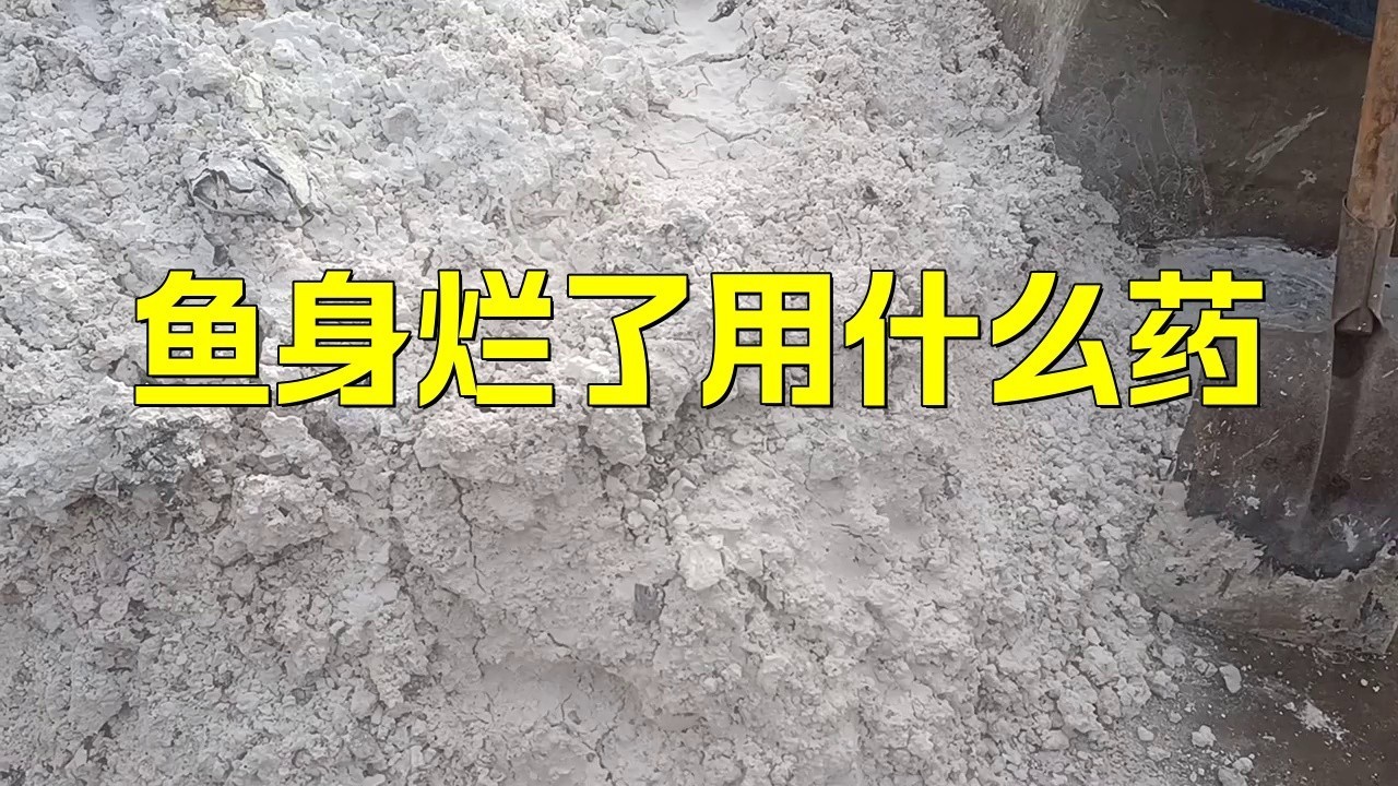 如何治療龍魚爛身病？，如何預防龍魚爛身病？
