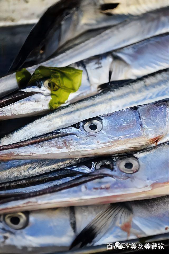 萊州龍魚店，萊州市<strong><mark>文峰</mark></strong>路街道藏龍閣龍魚商貿店