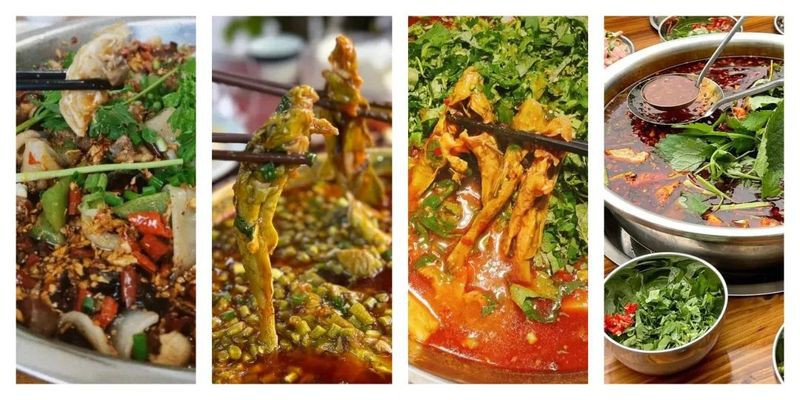 利川龍魚店，利川本地龍魚店有哪些推薦 利川龍魚店，利川本地龍魚店有哪些推薦 全國水族館企業名錄 第6張