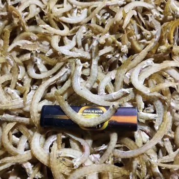 鳳魚多少錢，中國養殖網，鳳魚價格、批發報價、價格大全-阿里巴巴1688