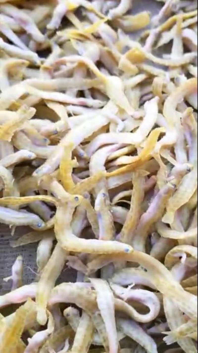 鳳魚多少錢，中國養殖網，鳳魚價格、批發報價、價格大全-阿里巴巴1688