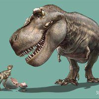 海象最害怕三個東西，海象最畏懼的三大威脅 海象最害怕三個東西，海象最畏懼的三大威脅 龍魚論壇 第4張