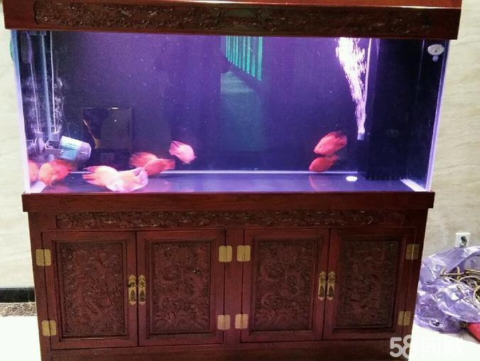 二手魚缸回收價格表，二手魚缸漲價了一個魚缸壽命到底是多久