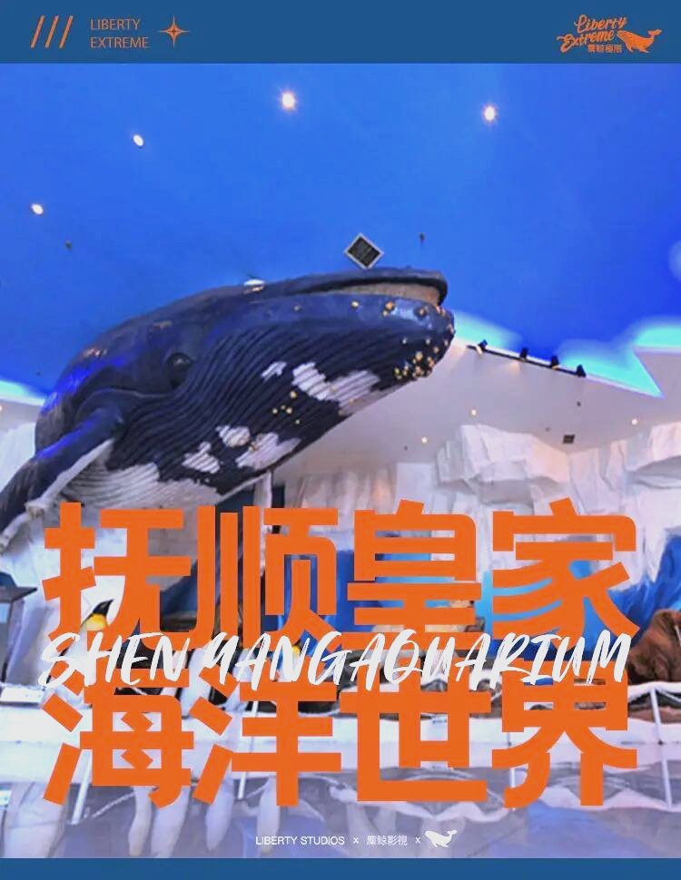 撫順縣水族店，撫順縣水族店聯系方式