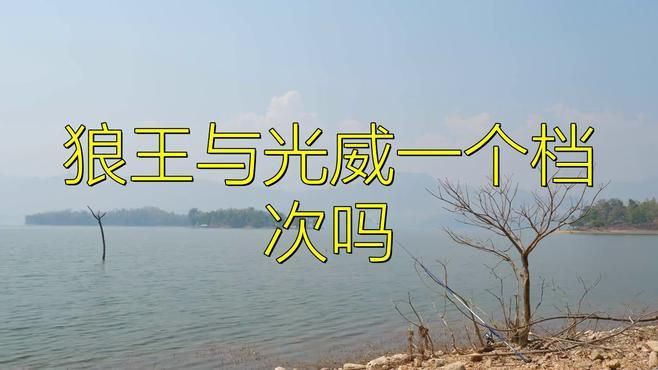 狼王與光威一個檔次嗎，狼王與光威是否處于同一檔次？