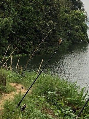 狼王與光威一個檔次嗎，狼王與光威是否處于同一檔次？