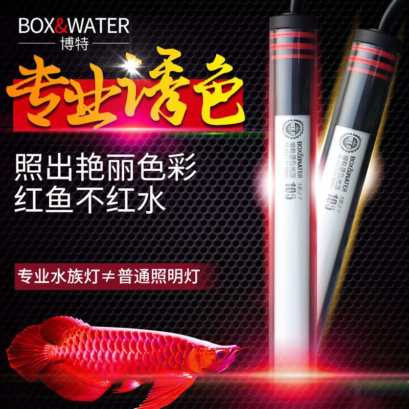 紅龍專用照明設(shè)備推薦，紅龍專用照明設(shè)備優(yōu)化其發(fā)色效果與生長環(huán)境