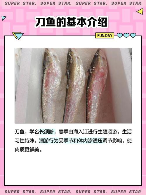 刀魚品種大全大圖，刀魚是什么魚