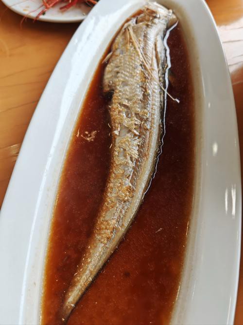 刀魚品種大全大圖，刀魚是什么魚