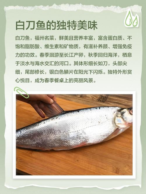 刀魚品種大全大圖，刀魚是什么魚