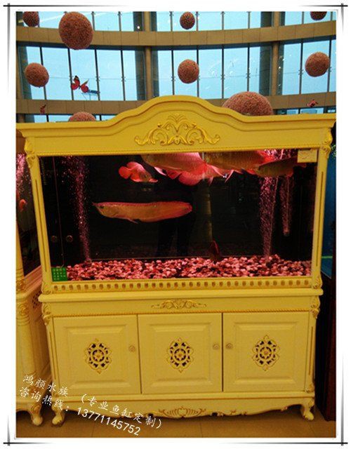 揚州魚缸批發市場，揚州魚缸批發市場發展現狀與趨勢分析