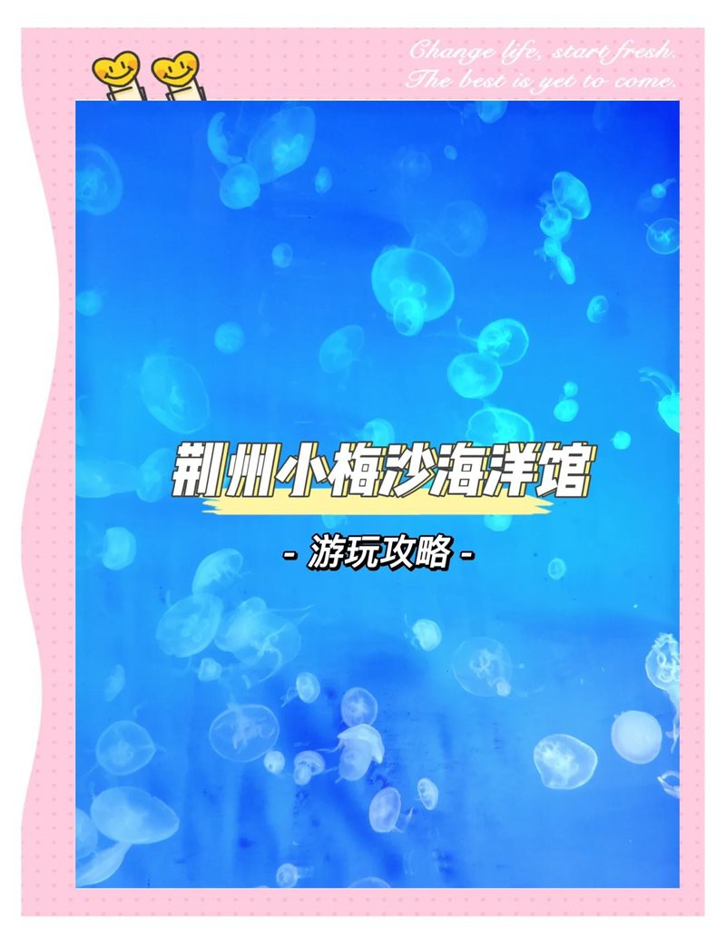 沙市水族店，沙市水族館的開放時間是如何