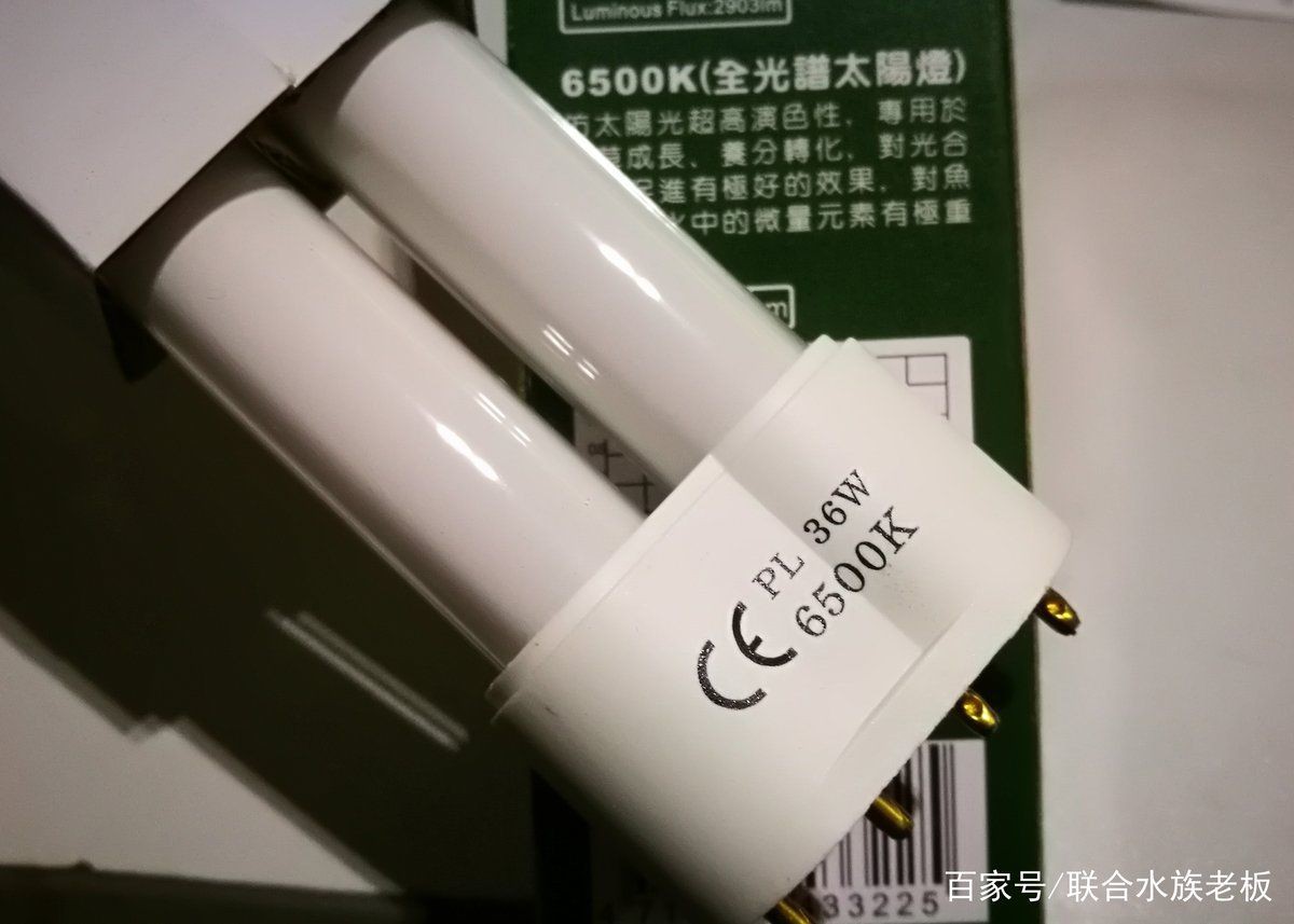 紅龍用馬印13000k燈效果評價，馬印13000k燈對紅龍的增艷效果 紅龍用馬印13000k燈效果評價，馬印13000k燈對紅龍的增艷效果 龍魚百科 第3張