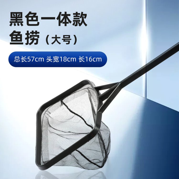 40公分銀龍魚價格多少錢一條，40公分銀龍魚的價格 40公分銀龍魚價格多少錢一條，40公分銀龍魚的價格 龍魚論壇 第5張