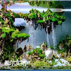 白玉水族店，昆明白玉水族店 白玉水族店，昆明白玉水族店 全國水族館企業名錄 第4張