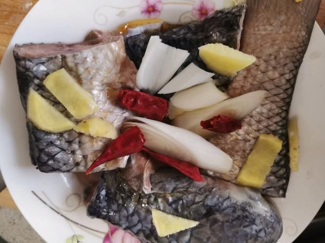 爛肉梭魚(yú)圖片，廣東沿海對(duì)海鰱展開(kāi)