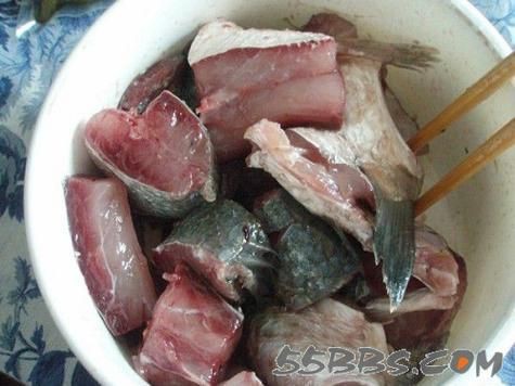 爛肉梭魚(yú)圖片，廣東沿海對(duì)海鰱展開(kāi)