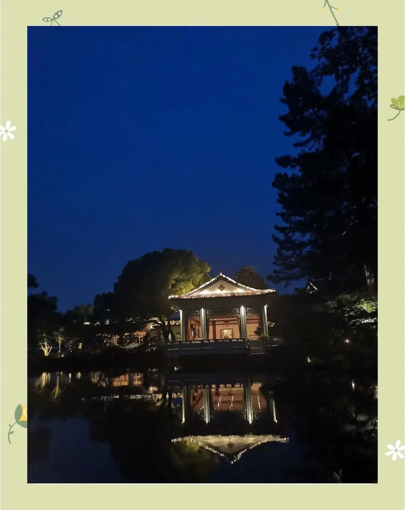 鳳凰轉世人的磁場很強，《鳳凰轉世者的磁場強者》 鳳凰轉世人的磁場很強，《鳳凰轉世者的磁場強者》 龍魚論壇 第2張