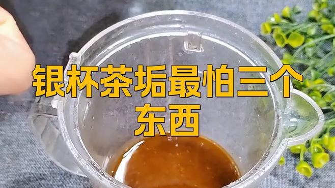 如何清潔和保養九龍銀杯？，《如何清潔和保養九龍銀杯》