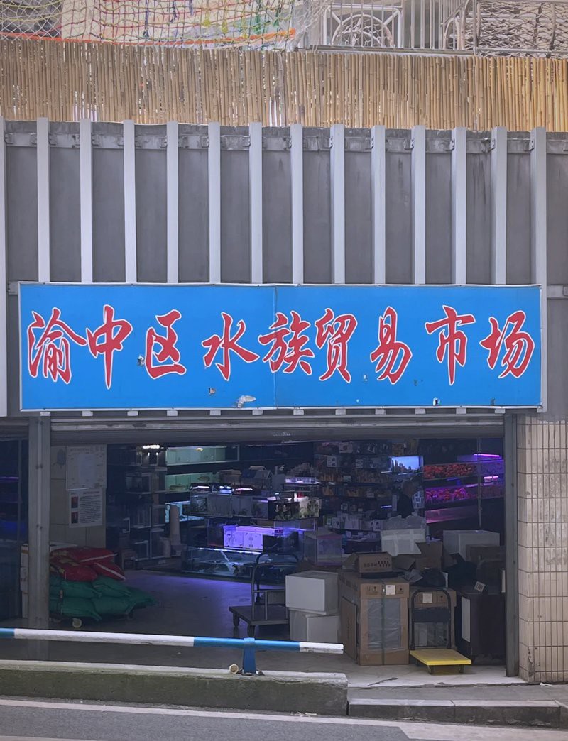 渝中水族店，重慶市渝中區(qū)多彩水族館 渝中水族店，重慶市渝中區(qū)多彩水族館 全國水族館企業(yè)名錄 第3張