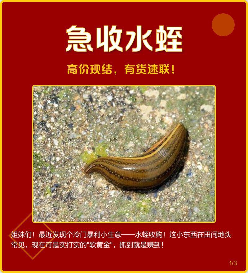 毫州水族批發市場，亳州市2025年4月份市場價格監測情況