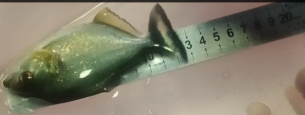 ，可以生成一段300-400字的摘要嗎？ ，可以生成一段300-400字的摘要嗎？ 龍魚論壇