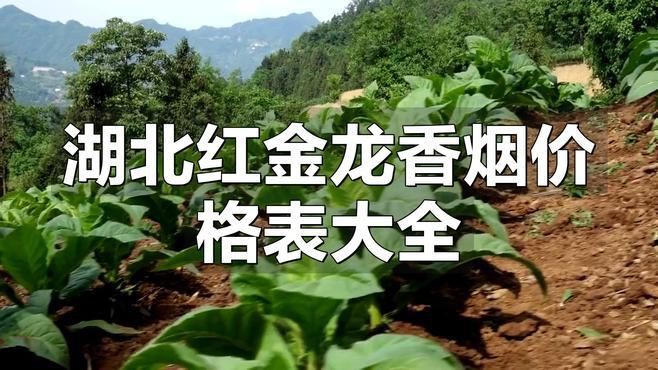 紅金龍香煙收藏價值，湖北紅金龍香煙價格表
