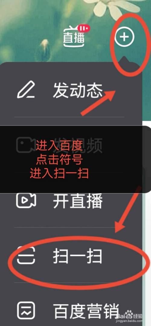 貓咪品種識別掃一掃，《貓咪品種識別掃一掃》在當今數字化時代