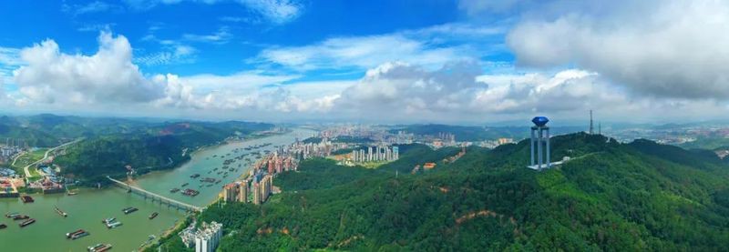 梧州龍魚店，廣西梧州龍魚漆業(yè)有限公司