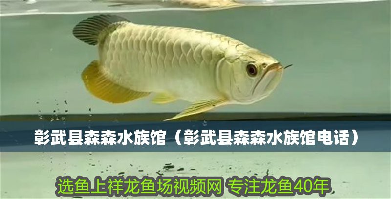 彰武水族店，彰武縣森森水族館 彰武水族店，彰武縣森森水族館 全國水族館企業名錄 第1張