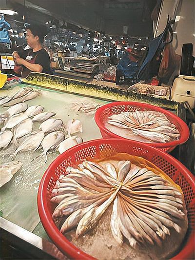 鳳魚10元一斤價格表，“鳳魚10元一斤價格表”反映了特定市場條件下該品種魚類的經濟定價 鳳魚10元一斤價格表，“鳳魚10元一斤價格表”反映了特定市場條件下該品種魚類的經濟定價 龍魚論壇 第5張