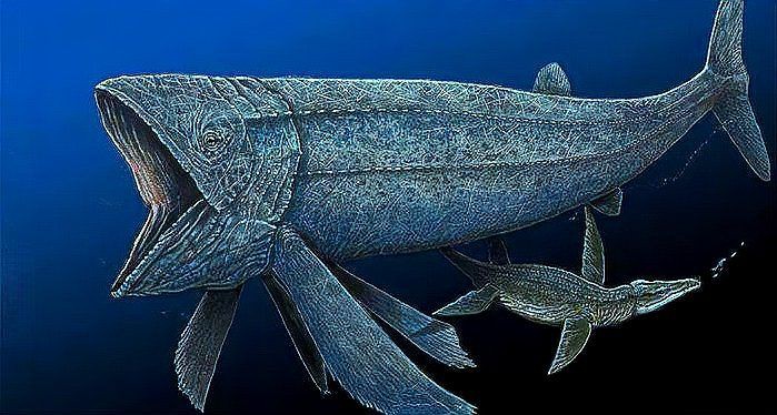 利茲魚有多大，利茲魚:侏羅紀的海中吸塵器,16米長的史前硬骨魚之王和光萬物