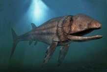 利茲魚有多大，利茲魚:侏羅紀的海中吸塵器,16米長的史前硬骨魚之王和光萬物