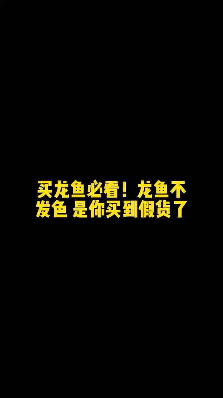 如何判斷龍魚是否純種？，《如何判斷龍魚是否純種》