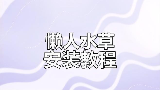 如何固定龍魚缸中的水草？，小羊老師培訓日記龍魚缸固定水草缸組裝全攻略