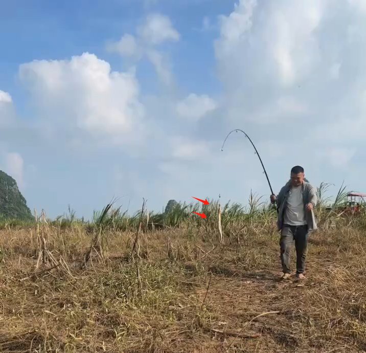 刀鰍魚(yú)圖片，廣西男子釣上巨型刀鰍魚(yú),比嬰兒手臂還長(zhǎng),刀鰍魚(yú)能長(zhǎng)這么大
