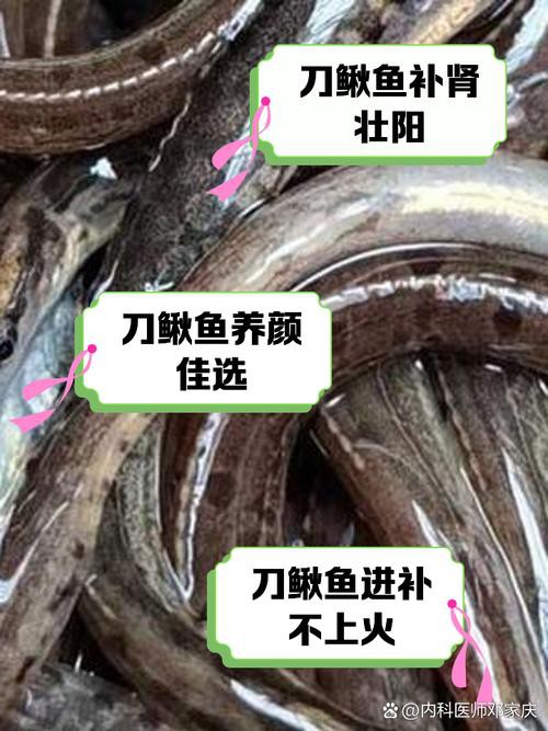 刀鰍魚(yú)圖片，廣西男子釣上巨型刀鰍魚(yú),比嬰兒手臂還長(zhǎng),刀鰍魚(yú)能長(zhǎng)這么大
