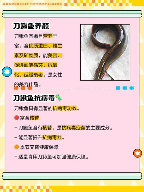 刀鰍魚(yú)圖片，廣西男子釣上巨型刀鰍魚(yú),比嬰兒手臂還長(zhǎng),刀鰍魚(yú)能長(zhǎng)這么大
