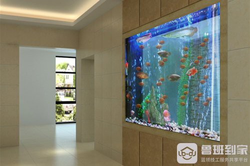 養(yǎng)魚(yú)開(kāi)缸窮三代， 養(yǎng)魚(yú)開(kāi)缸窮三代，\