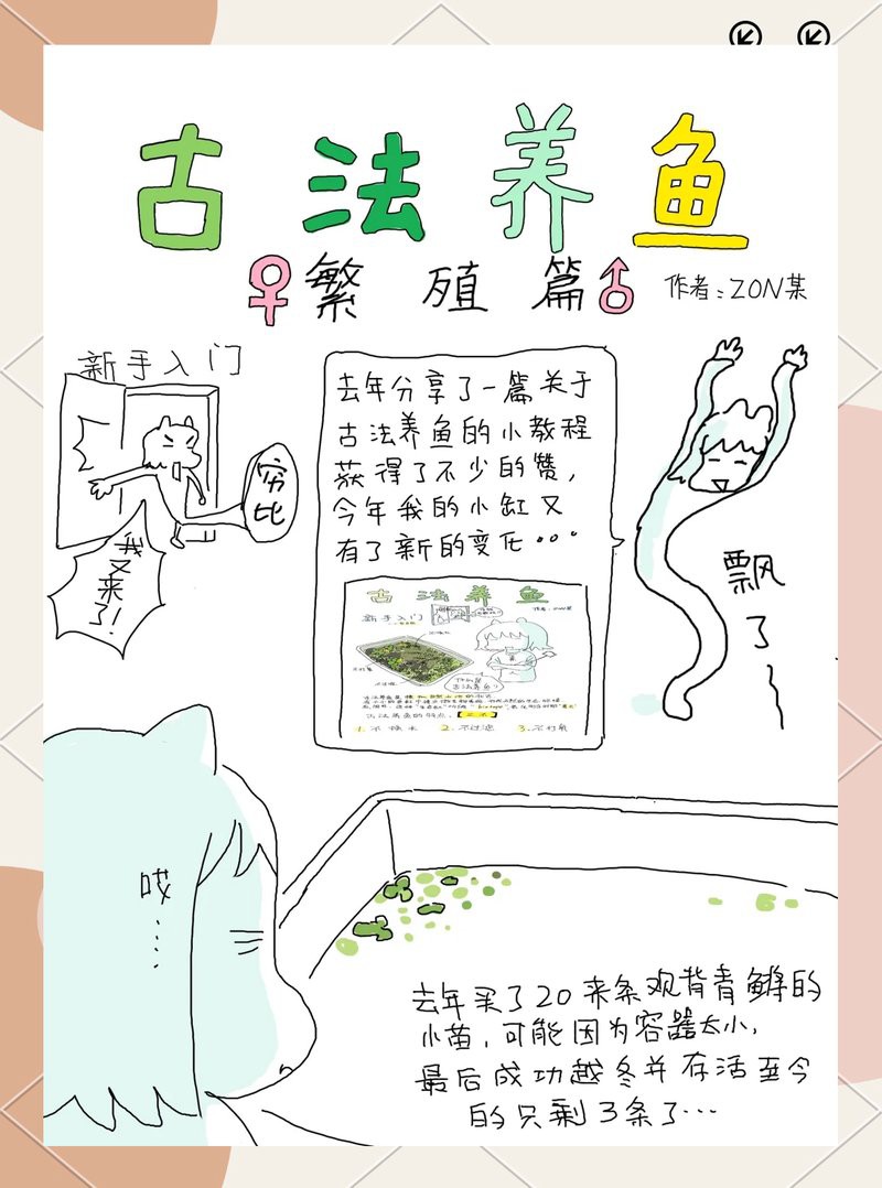 養(yǎng)魚(yú)開(kāi)缸窮三代， 養(yǎng)魚(yú)開(kāi)缸窮三代，\