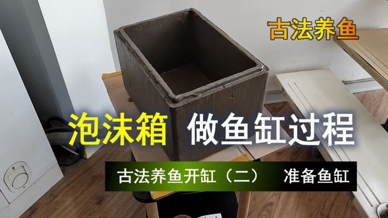 養(yǎng)魚(yú)開(kāi)缸窮三代， 養(yǎng)魚(yú)開(kāi)缸窮三代，\