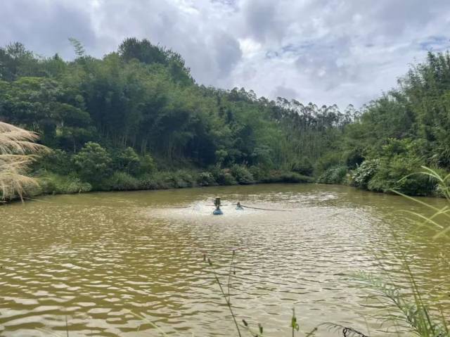 廣寧龍魚店，尋“味”記|排隊也要去!廣寧這家“走心”經營的老店值得n刷