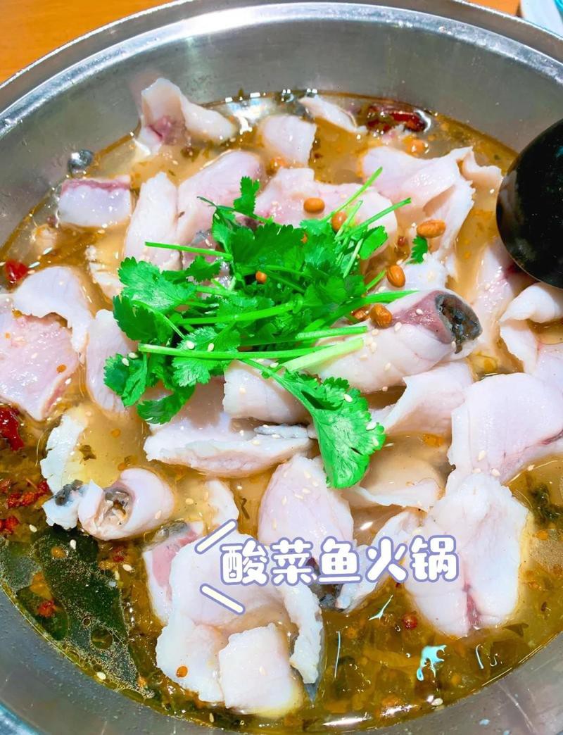 紅安龍魚店，紅安本地有龍魚店嗎