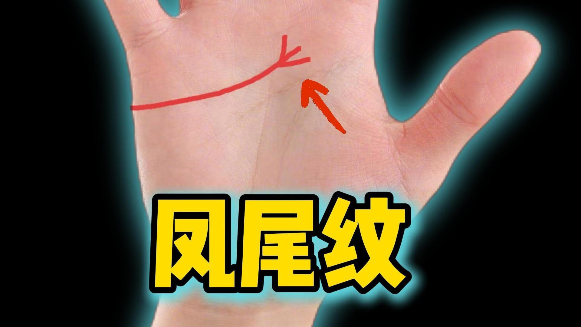 鳳尾紋和假鳳尾紋的區別，鳳尾紋與假鳳尾紋的區別