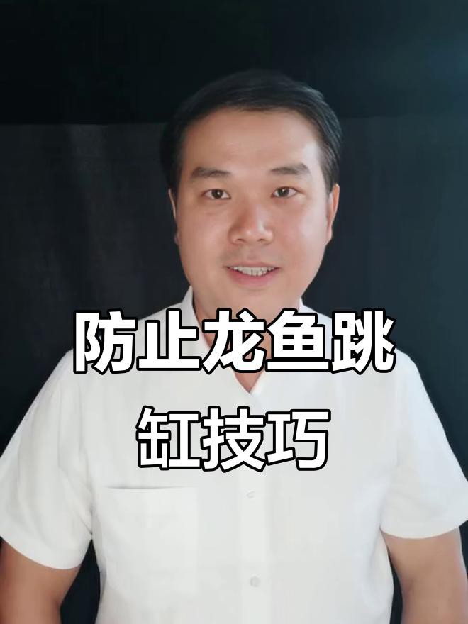 如何預防金龍魚跳缸？，正飛工坊龍魚跳缸的三大原因