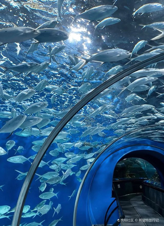 浦東水族店，上海浦東新區擁有多家特色水族店及場館 浦東水族店，上海浦東新區擁有多家特色水族店及場館 全國水族館企業名錄 第1張