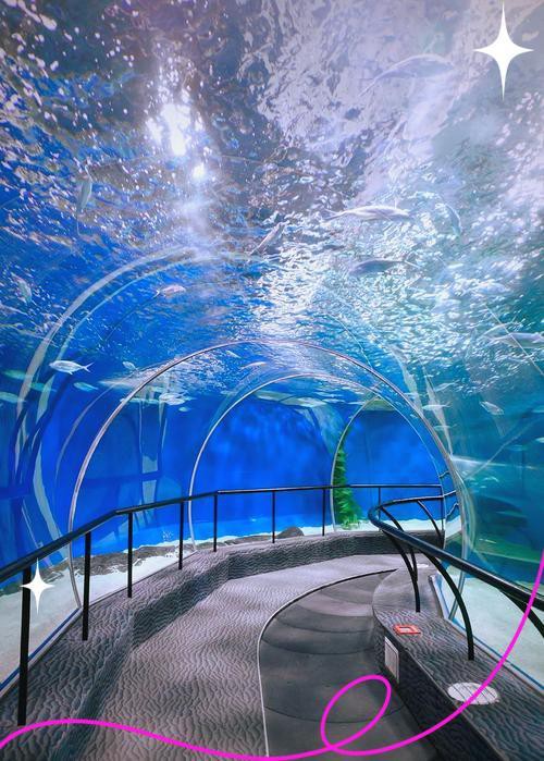 浦東水族店，上海浦東新區擁有多家特色水族店及場館 浦東水族店，上海浦東新區擁有多家特色水族店及場館 全國水族館企業名錄 第9張