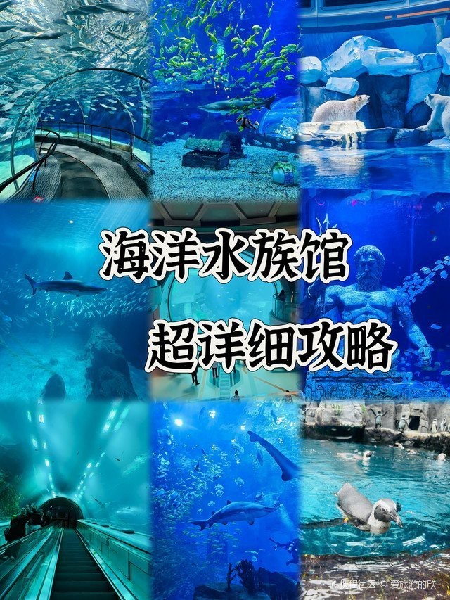 浦東水族店，上海浦東新區擁有多家特色水族店及場館 浦東水族店，上海浦東新區擁有多家特色水族店及場館 全國水族館企業名錄 第2張